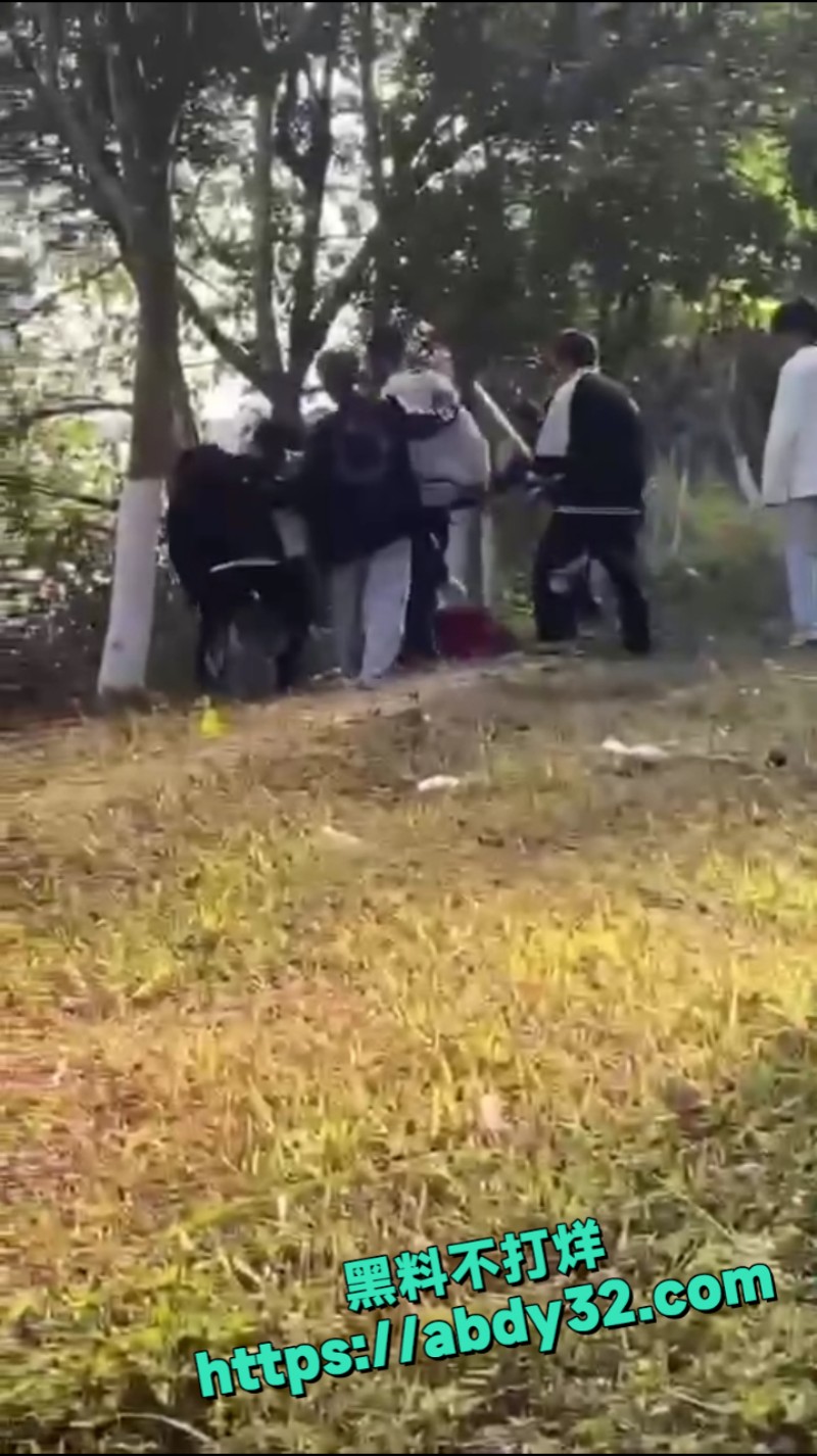精神小伙团架霸凌 2