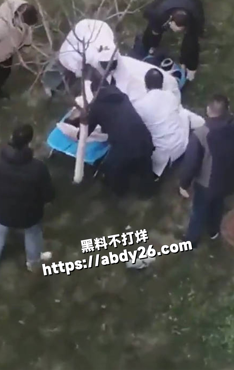 湖南益阳五雅高级中学3