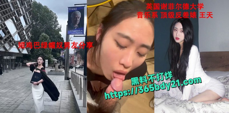 英国谢菲尔德大学绿帽奴贡献顶级留学生女友 11