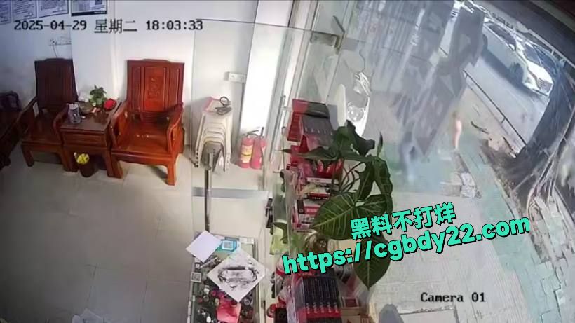 广东潮汕车祸撞人拦车2