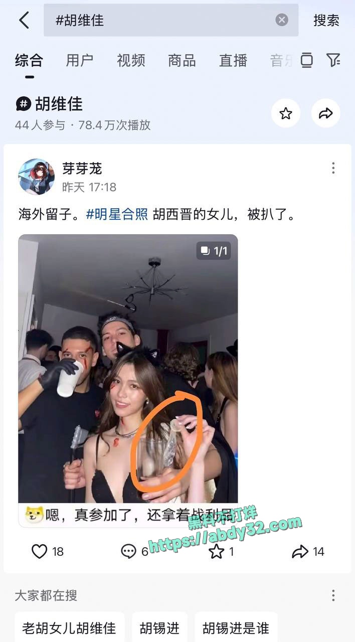 环球总编胡锡进女儿胡维佳国外开淫趴 7