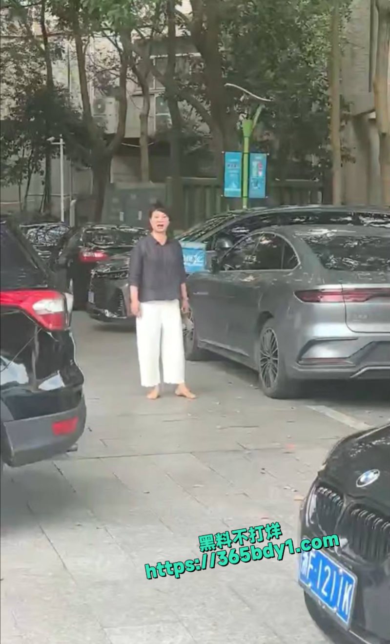 浙江嘉兴平湖滨水广场小三和原配撕起来了2