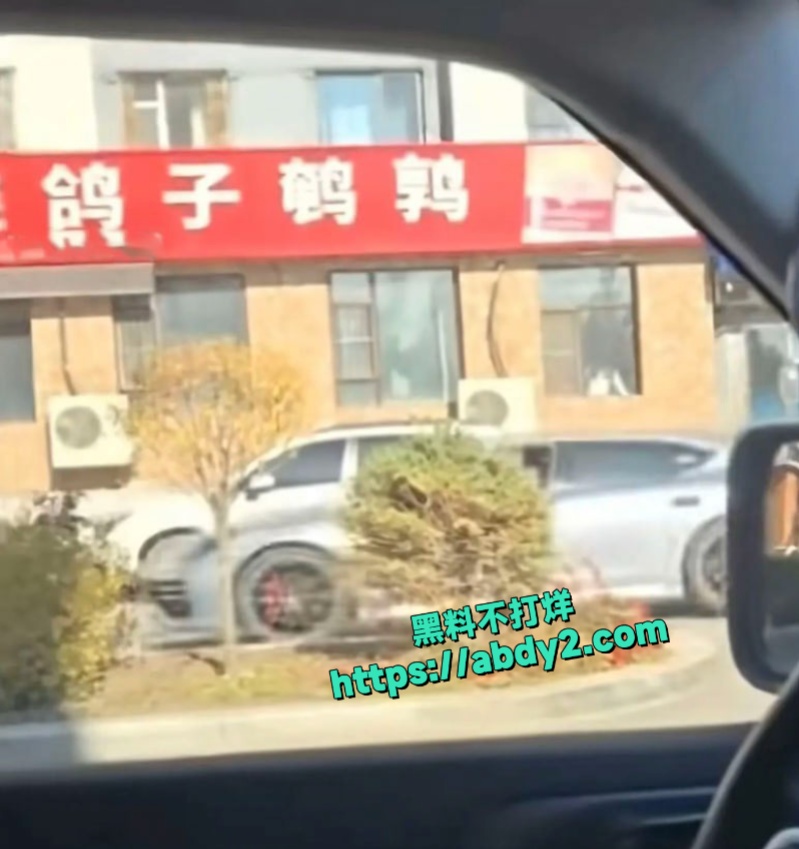 吉林白山万历烧鸽子店骚货老板窗前后入长发美女 11