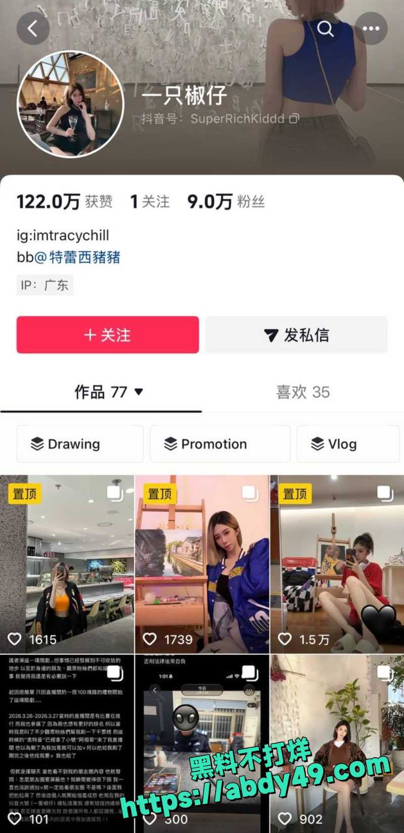 一只椒仔 34