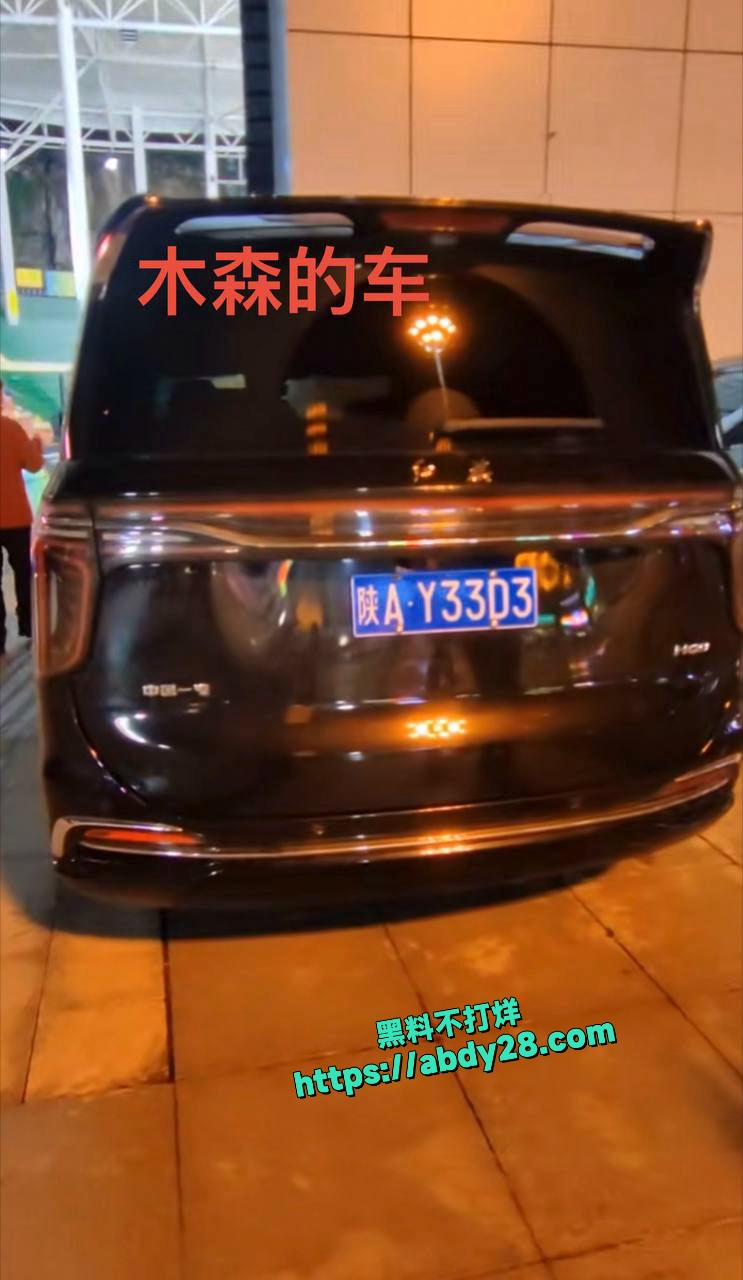网红木森出轨徒弟小媛 35
