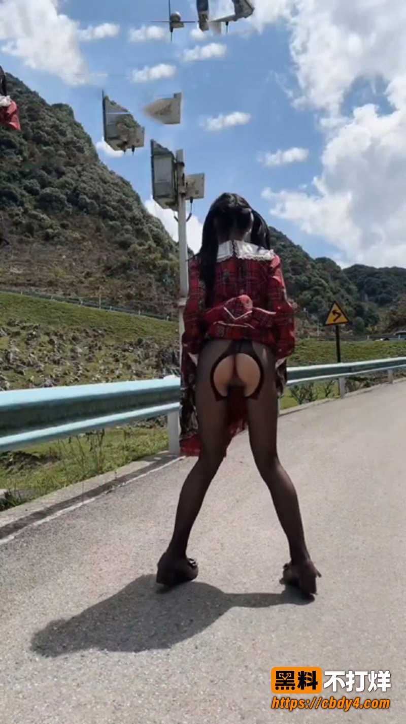 母狗3