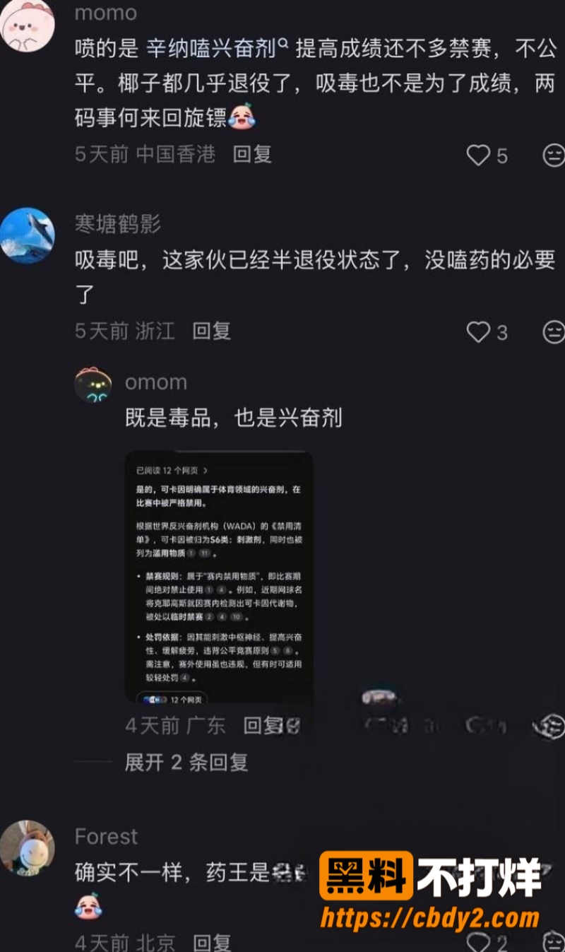 克耶戈斯11
