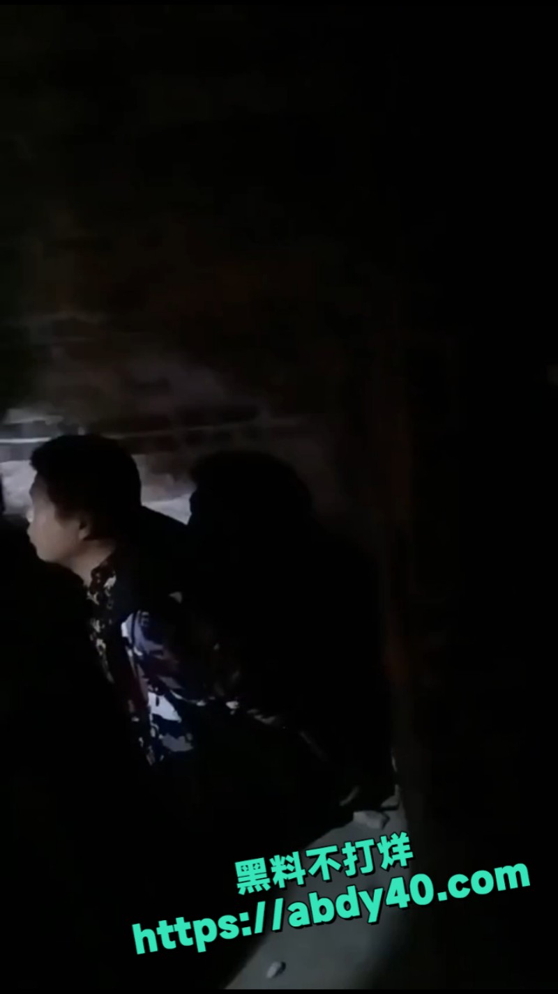 一村人半夜捉贼 2