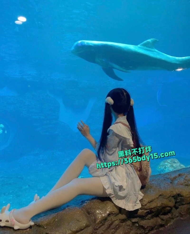 网红小月喵cos6