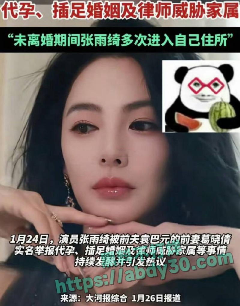 张雨绮前夫 袁巴元 1