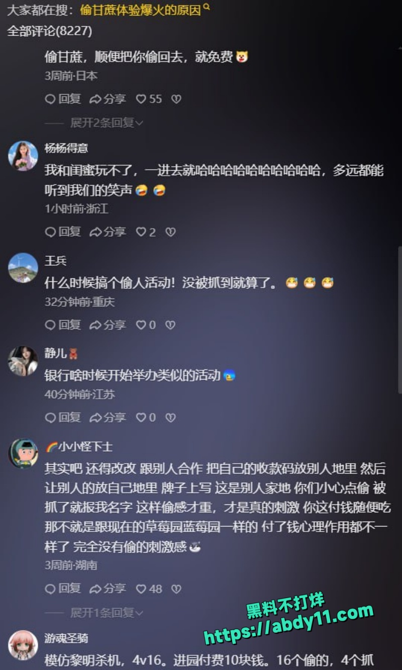 偷甘蔗活动8