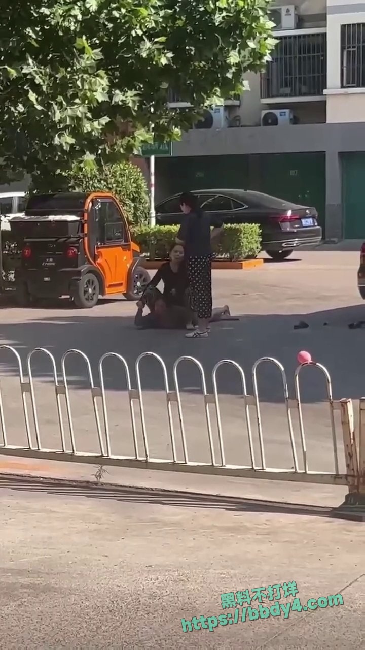 愤怒正妻当街暴打小三09