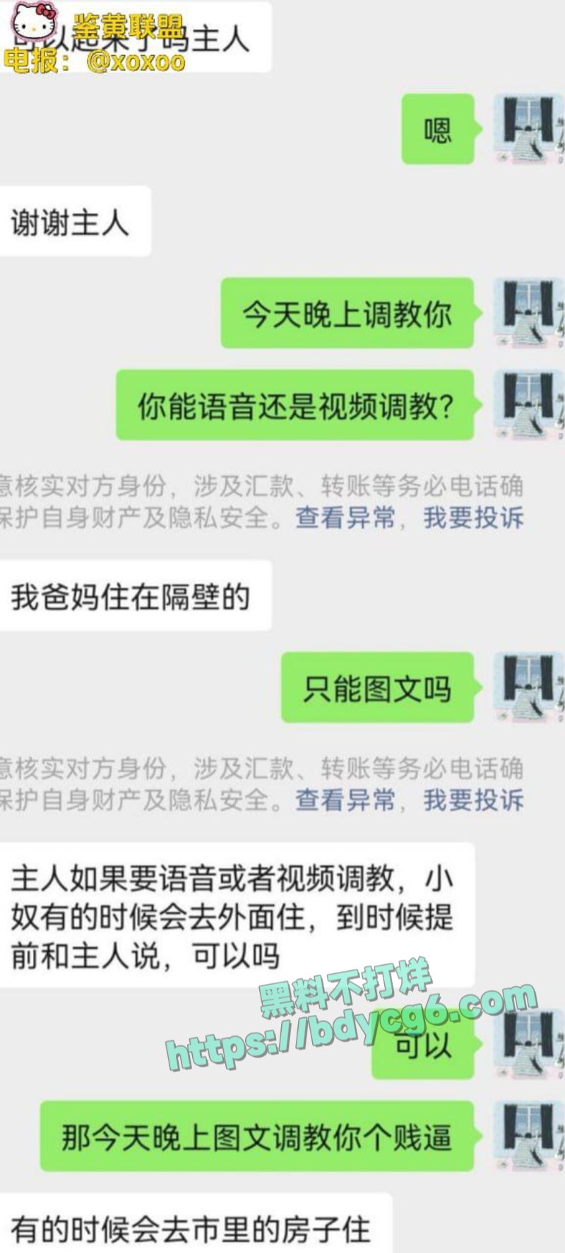 网调极品少女2