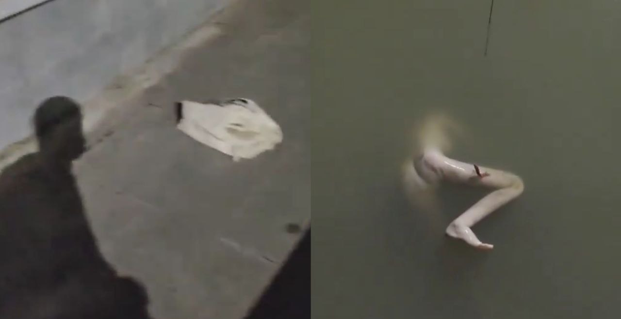 钓鱼佬这一下心理阴影面积剧增 钓鱼佬除了鱼钓不到什么都能钓到 半夜钓上来个裸尸