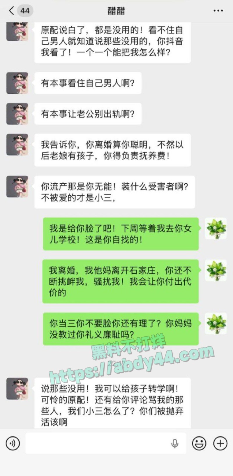 原配曝光小三张甜茜3