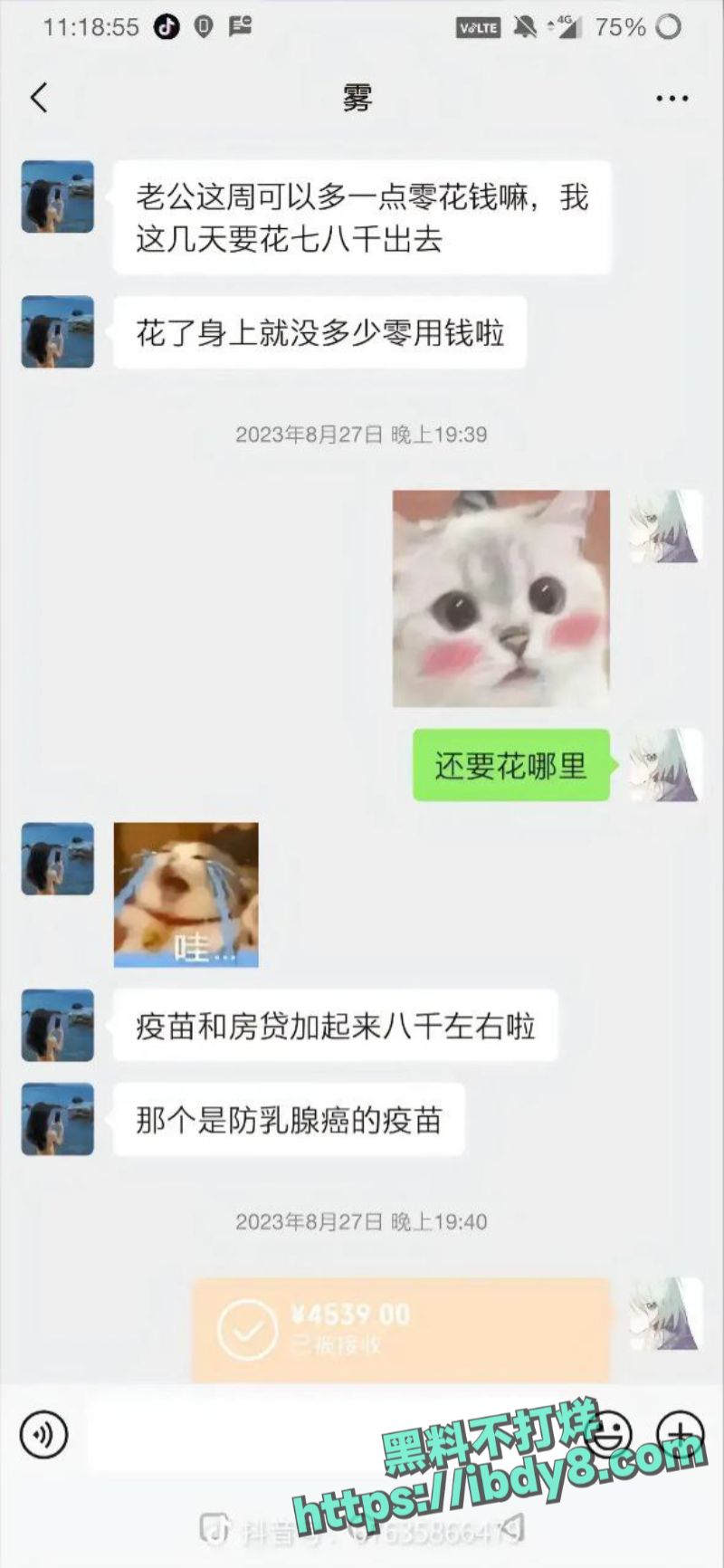 28.jpg