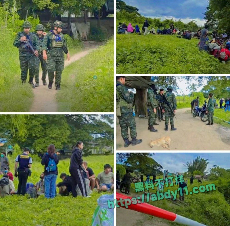 缅甸诈骗头目佘智江引渡回国 9