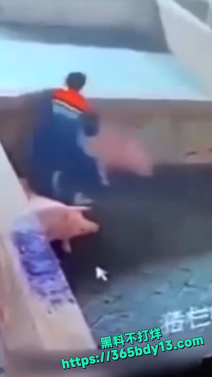 孤独三五年母狗赛貂蝉 2