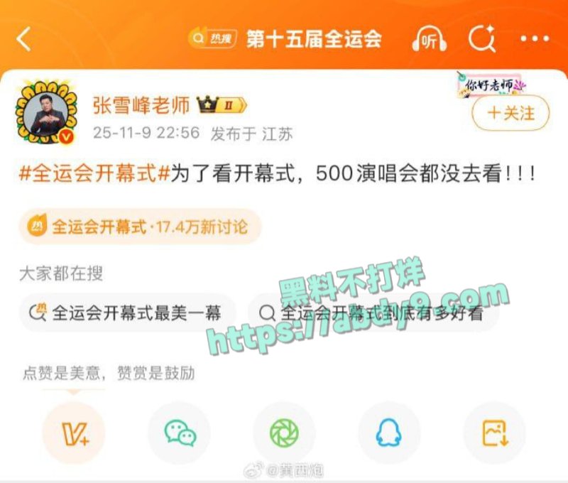 张雪峰带三姐看伍佰演唱会