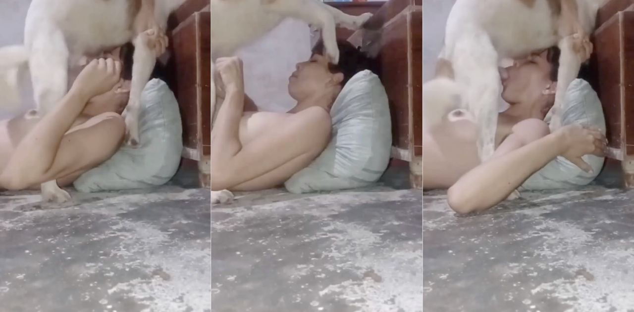 狗子的幸福，来源于对主人的服务