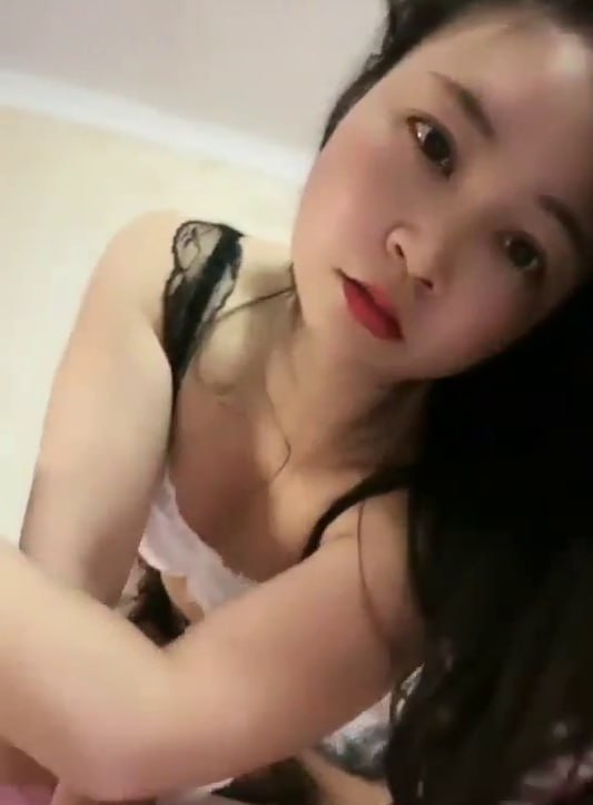 菲宝黑森林1