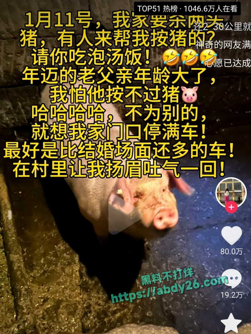 重庆合川呆呆杀猪事件燃爆网络 2