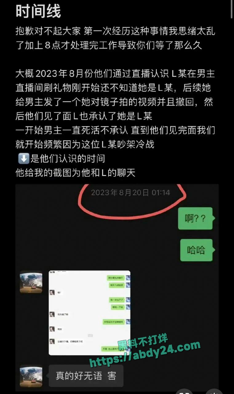 饰演爱情公寓陈美嘉的李金铭知三当三 14