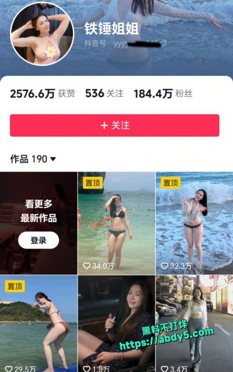 抖音性感百万粉丝网红 铁锤姐姐1