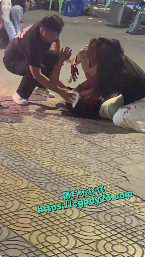 固城为情所困砍人事件4