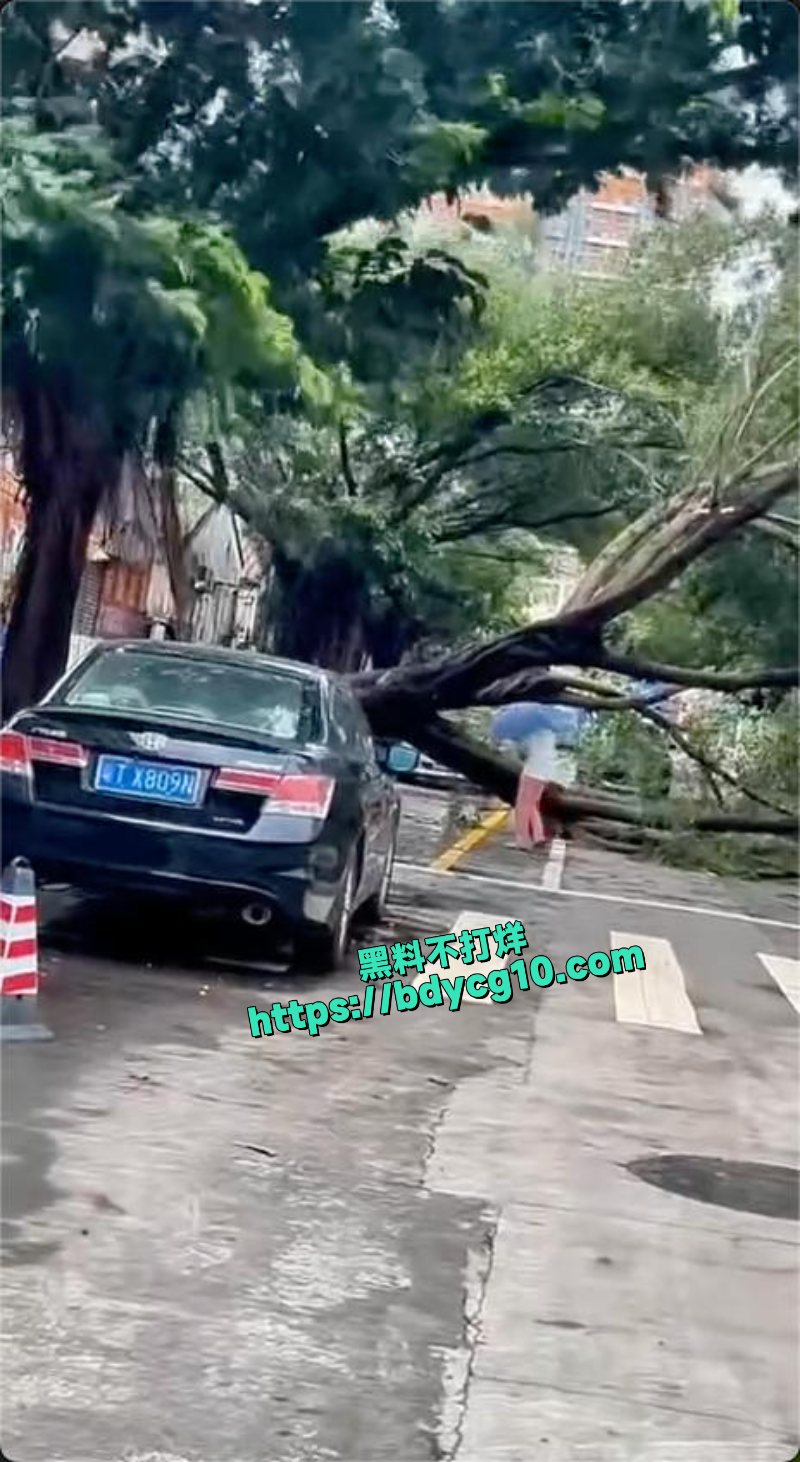 超级台风韦帕登录广东所到之处一片狼藉6