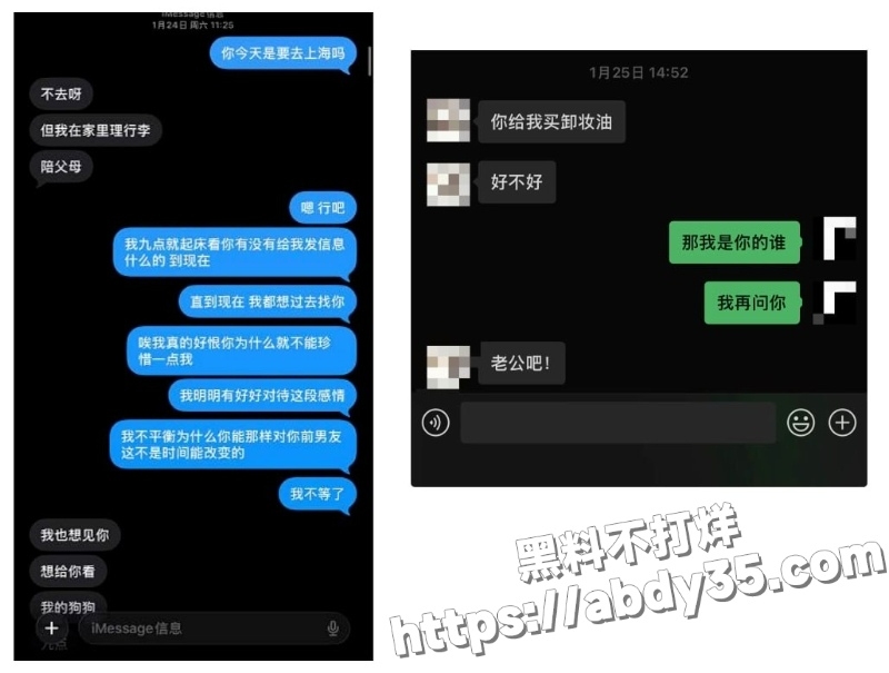 澳洲留学生陈某某脚踏两船捞金实录31
