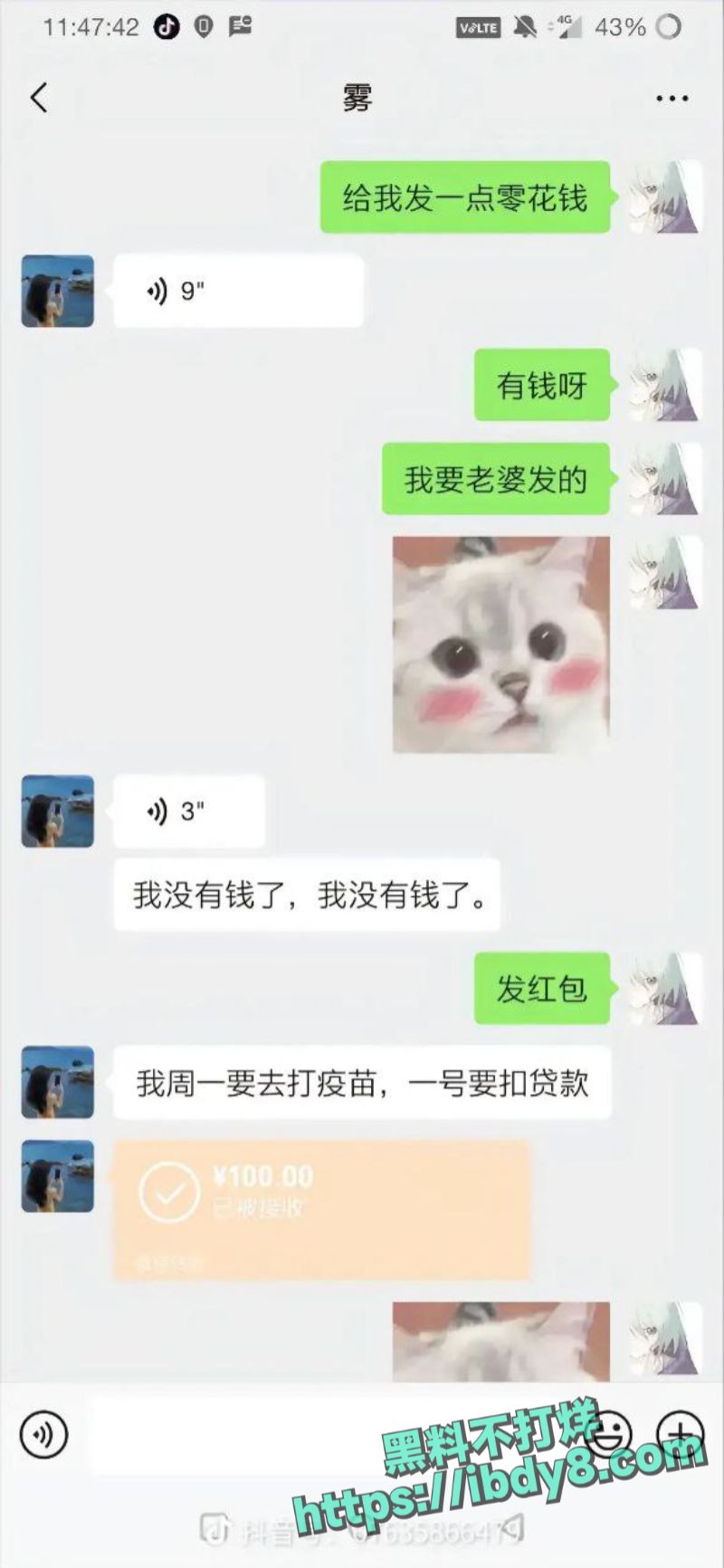 25.jpg