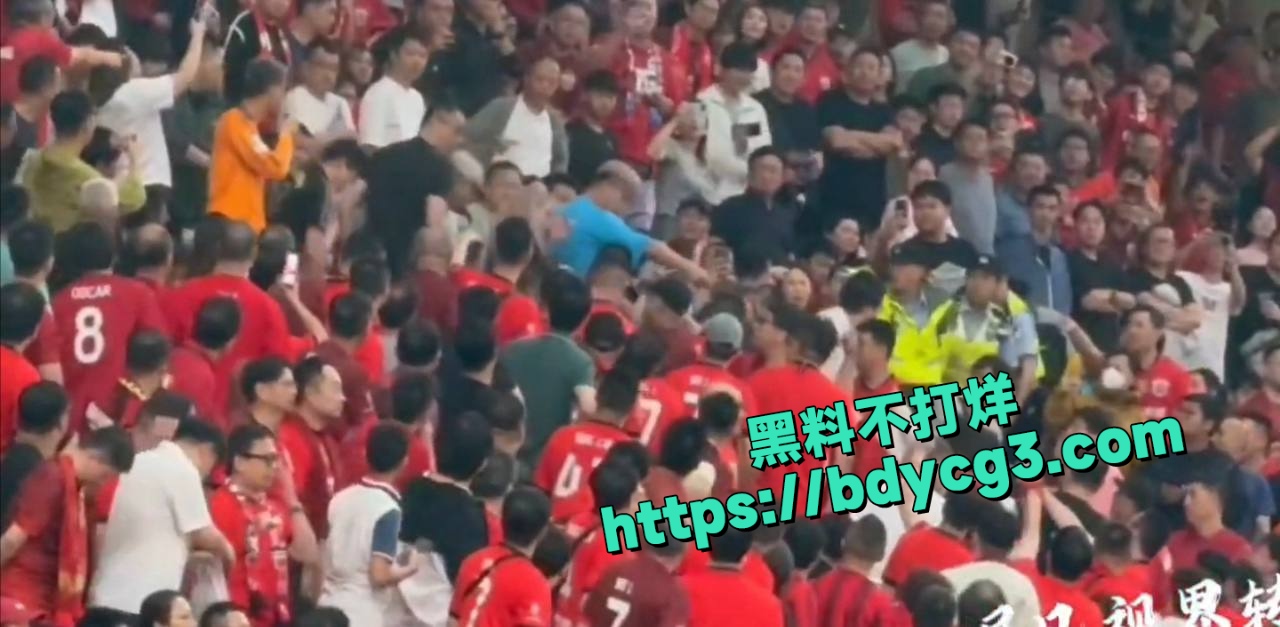 落单申花球迷被海港球迷围殴 4