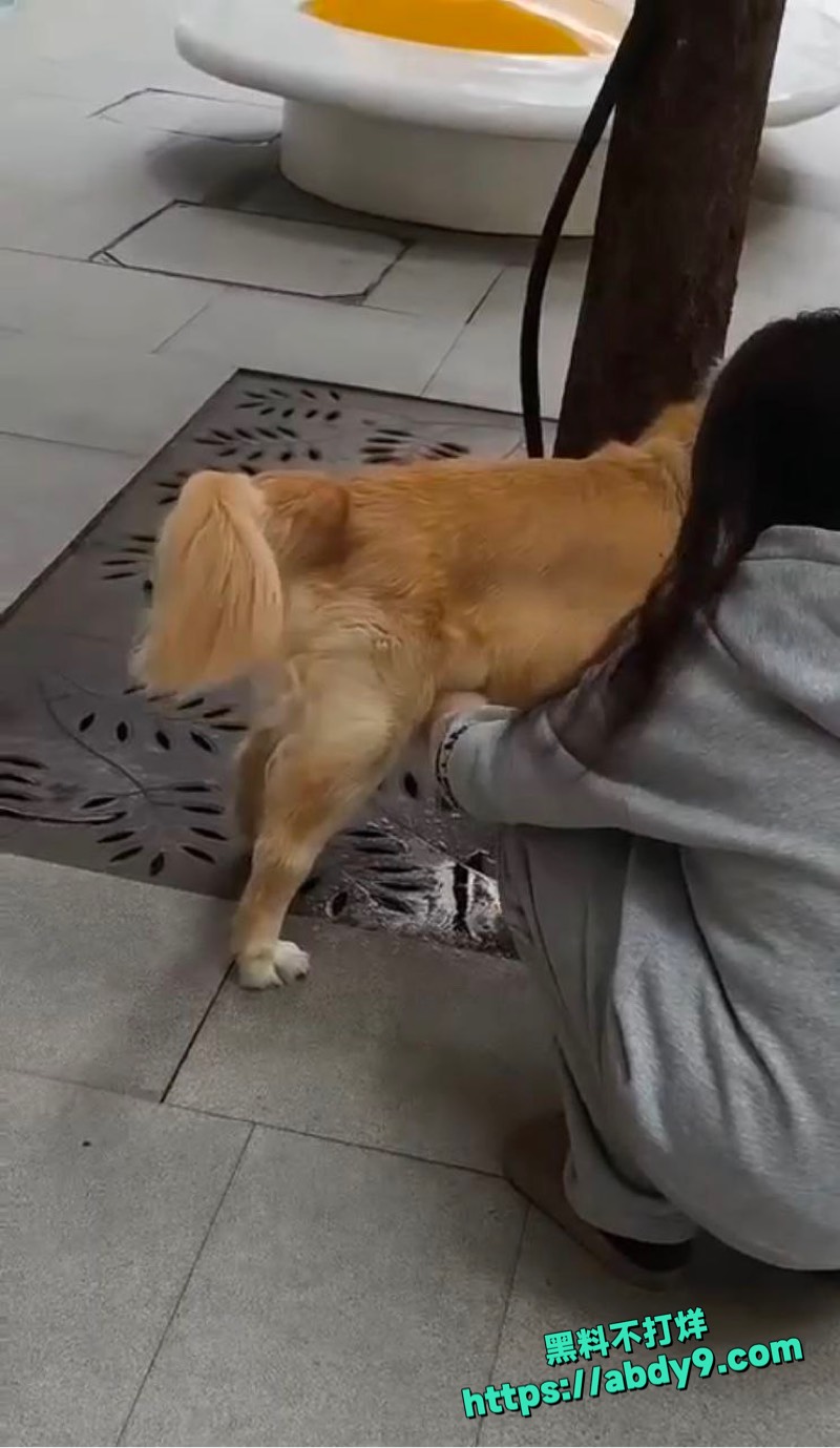 妹子早中晚撸狗鸡巴三次2