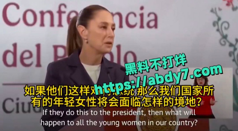 墨西哥女总统谢因鲍姆遭街头性骚扰 7