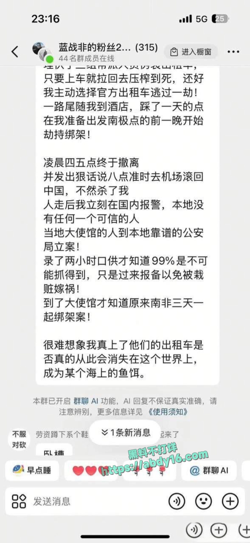 蓝战非南非被绑架 3