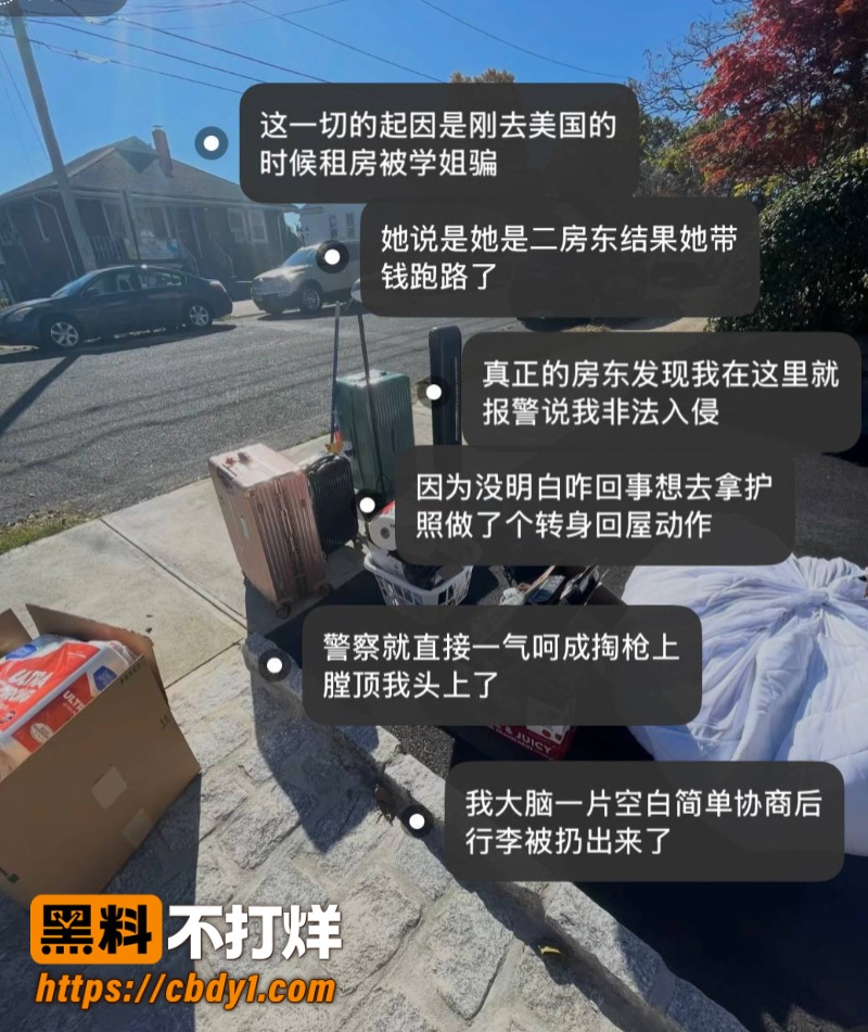 王龙12
