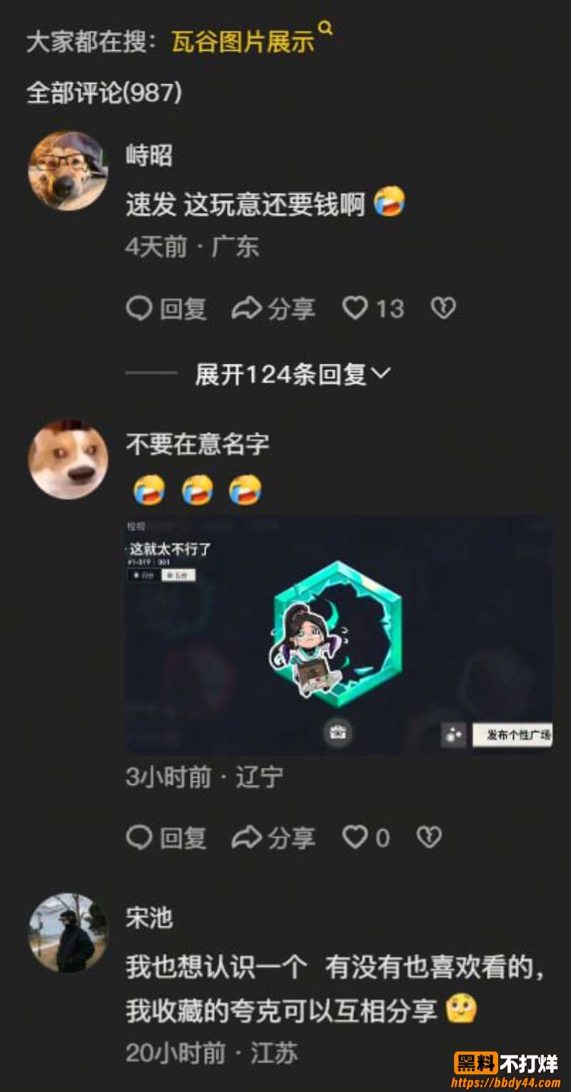 瓦洛兰特2