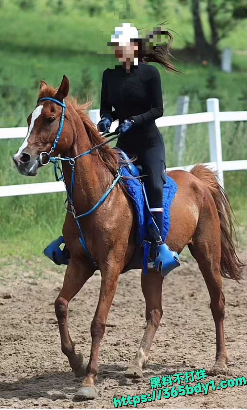 河北丰宁坝上草原游客骑马相撞酿悲剧 1