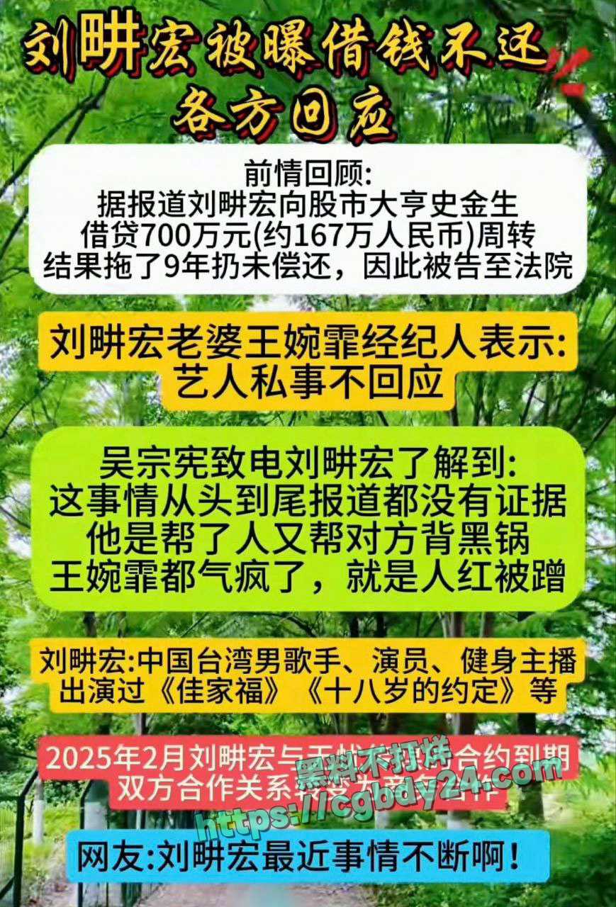 刘畊宏被曝借700万台币9年不还1