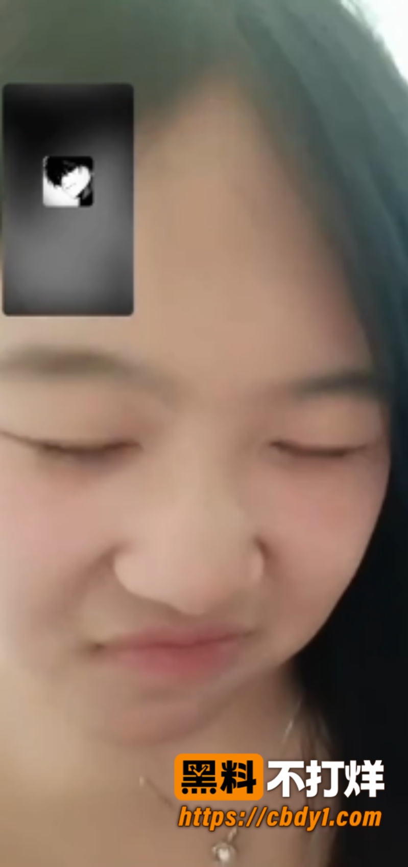 网调肥大阴唇微胖母狗4