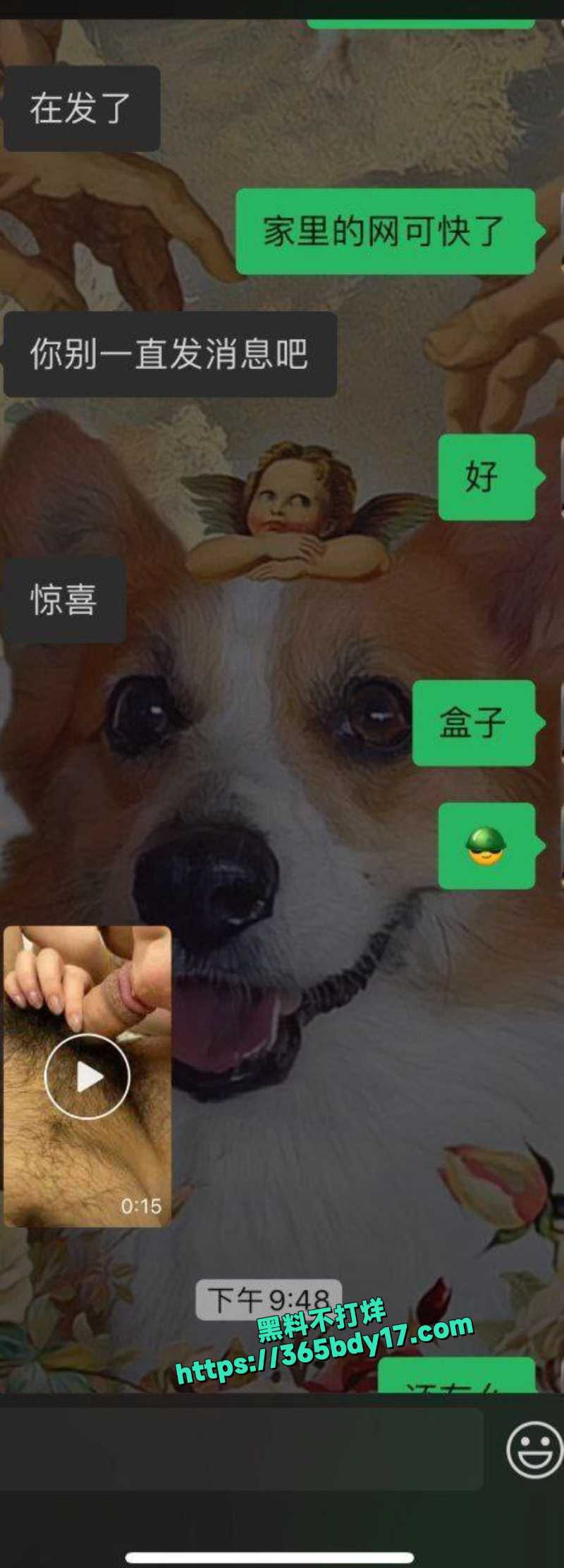 长沙公司高管秘书4