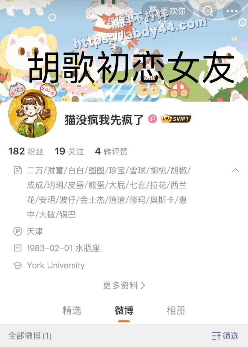 胡歌的瓜15