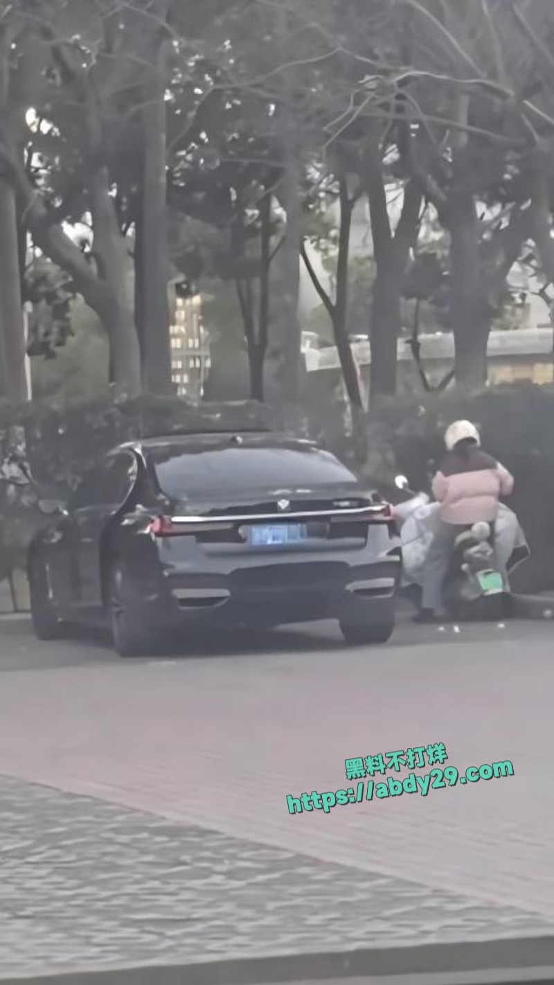 有钱人嫖娼直接玩车震6