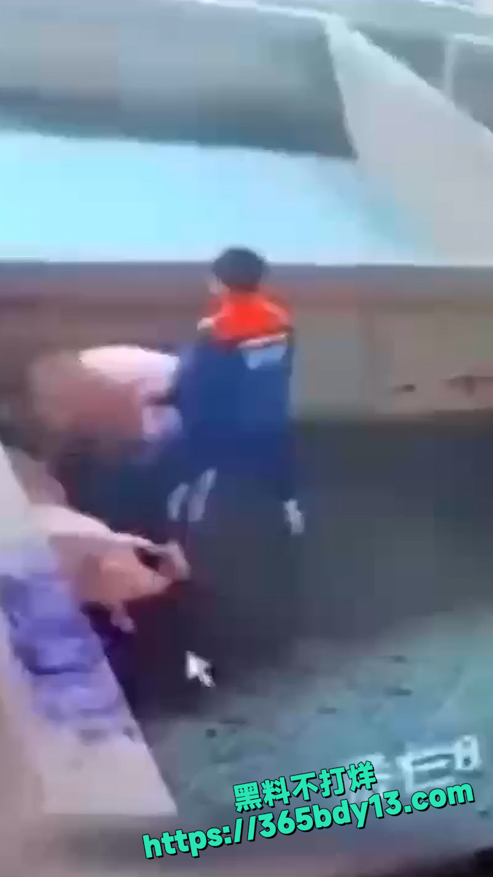 孤独三五年母狗赛貂蝉 9