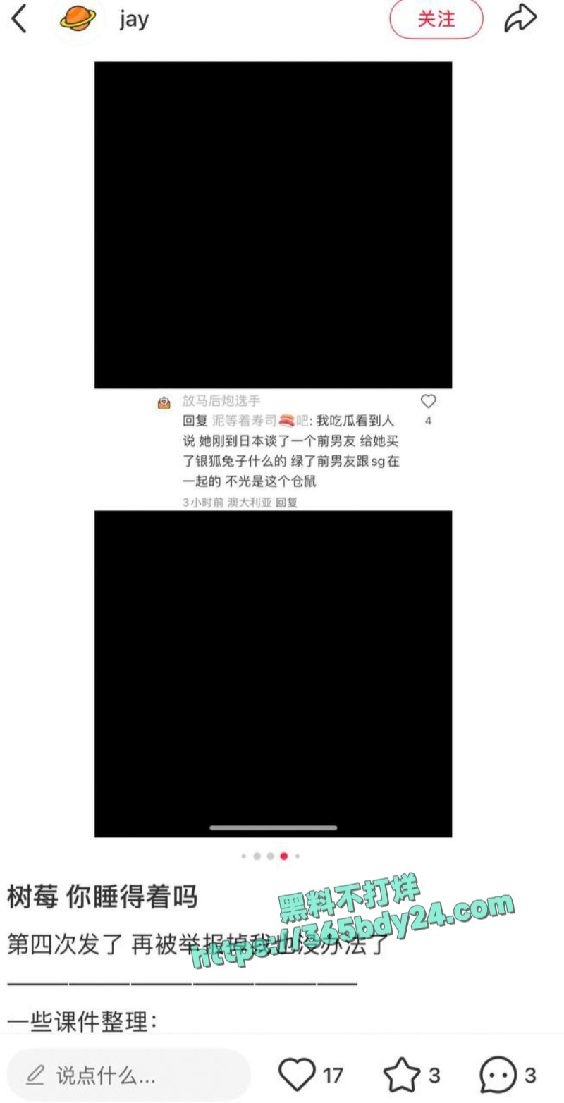 抖音网红树莓塌房B2 3