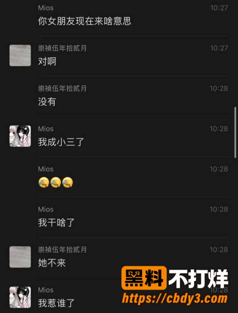 李毅聊天记录11