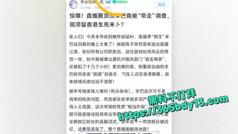 知名电商主播辛巴6
