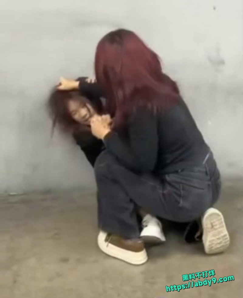 沈阳精神小妹街头约架8