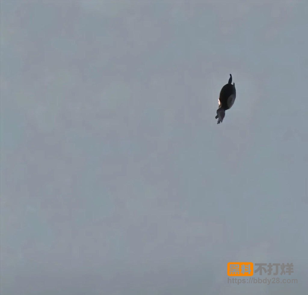 河北飞僵7